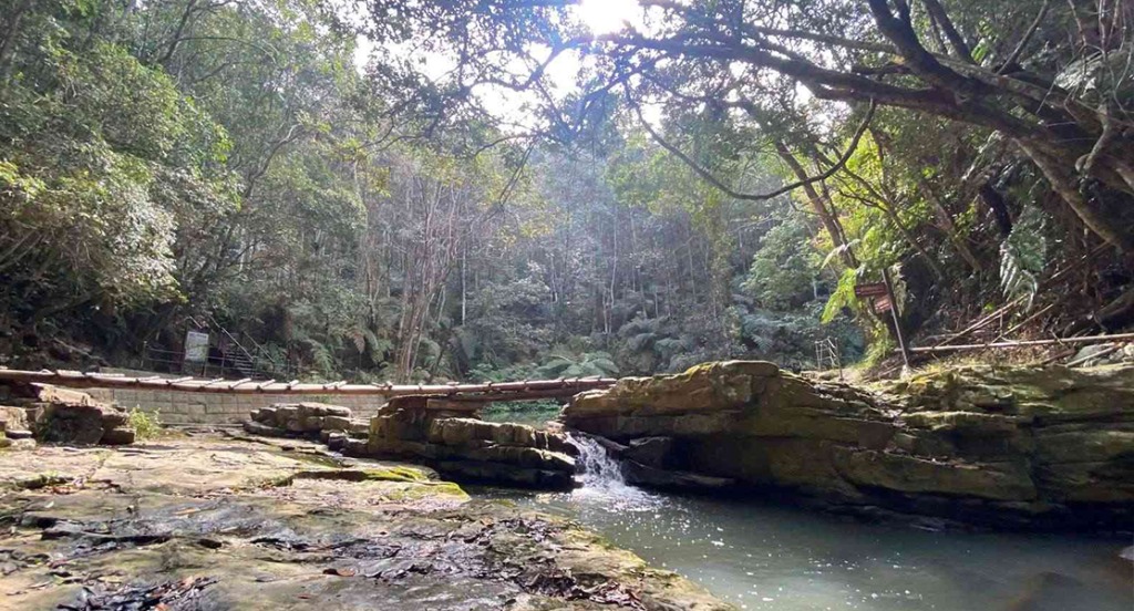 澀水森林步道